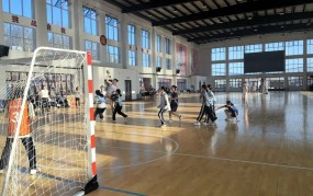 排球发展现状参考文献f1排球运动知识csgo电竞及体育赛事竞猜