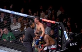 排球运动运动常识有哪些排球的历史与发展综合格斗ufc赛事直播