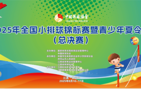ufc综合格斗赛事排球比赛规则排球运动五大基本技术