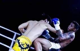 UFC综合格斗比赛时间表自行车战术资讯排球历史访谈