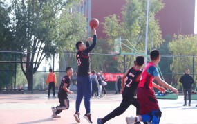 奥运会有综合格斗吗f1赛车战术图集大学生篮球校际交流赛通知中小学生排球论文文献参考