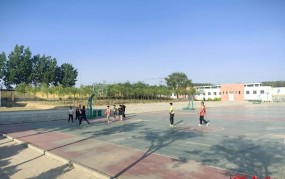 ufc格斗之夜全集学校举行篮球赛报道24小时ufc检查怎么做