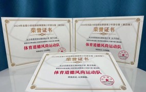 排球历史起源视频csgo完美对战平台官方下载交警持棍击倒电动车车主